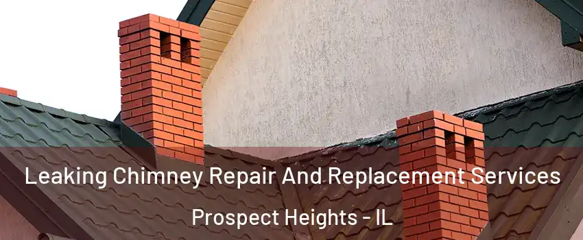  Leaking Chimney Repair And Replacement Services Prospect Heights - IL