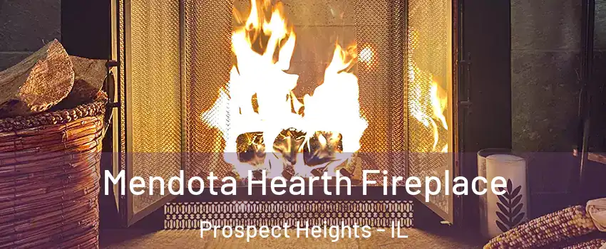  Mendota Hearth Fireplace Prospect Heights - IL