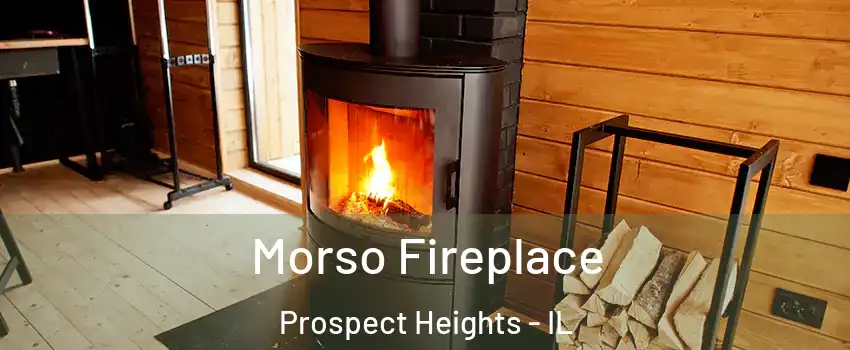  Morso Fireplace Prospect Heights - IL