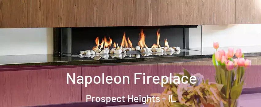  Napoleon Fireplace Prospect Heights - IL