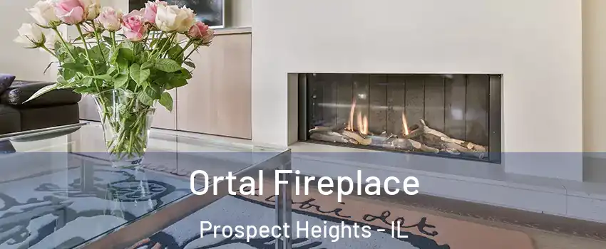  Ortal Fireplace Prospect Heights - IL