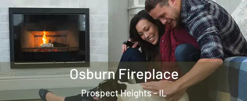  Osburn Fireplace Prospect Heights - IL