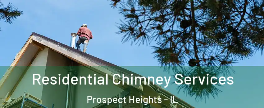  Residential Chimney Services Prospect Heights - IL