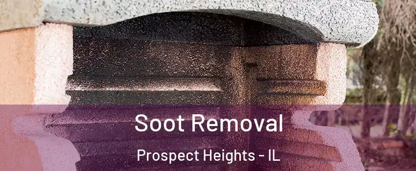  Soot Removal Prospect Heights - IL