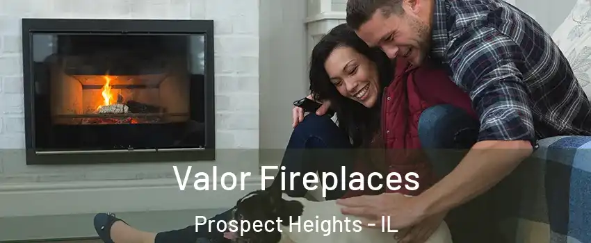  Valor Fireplaces Prospect Heights - IL